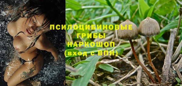 PSILOCYBIN Алексеевка