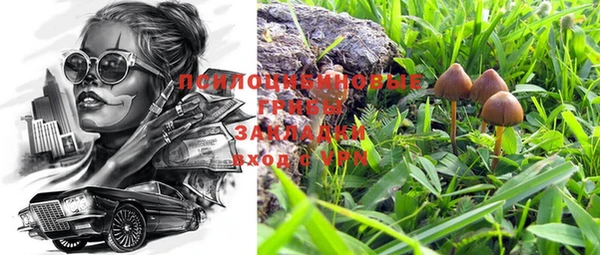 стафф Алзамай