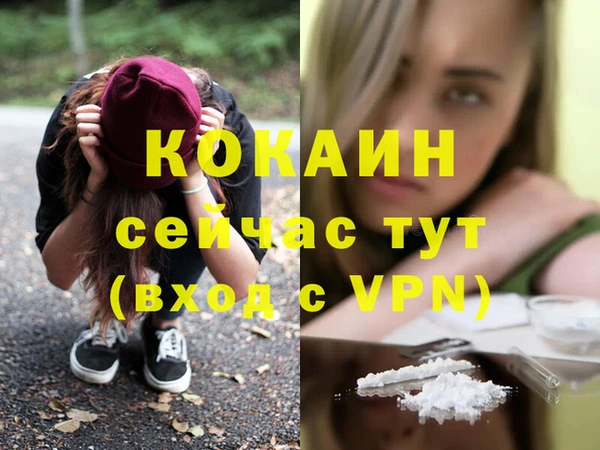 стафф Алзамай
