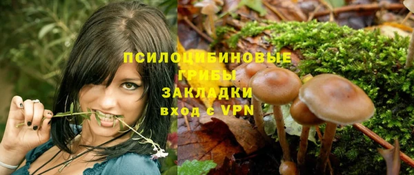 мяу мяу мука Абаза