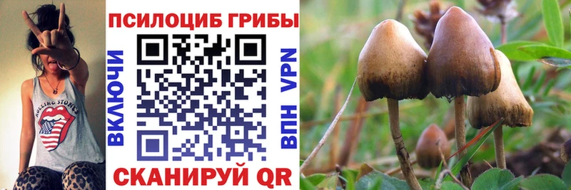 Галлюциногенные грибы Magic Shrooms  купить  сайты  Луга 